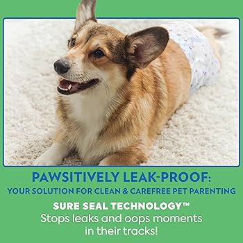 Amazon.com : Out! PetCare Disposable Dog Diapers Male, Puppy